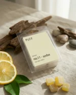 PUFF No.11 Sorbe limon kokulu soya wax melts, taze limon dilimleri ve doğal dekor ile ürün görseli